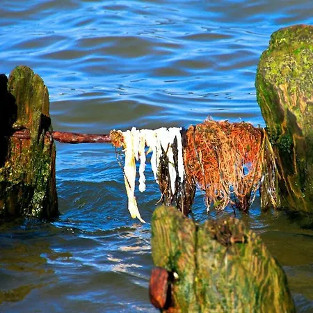 Casa de Férias Abendmond Comfortable *