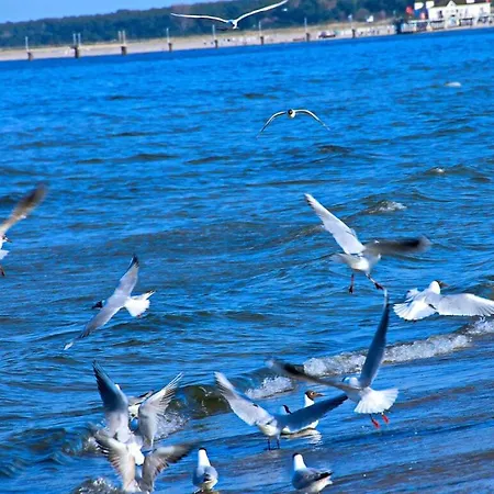 Casa de Férias Abendmond Comfortable *